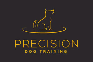 Precision Dog Training