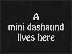 MINI DASHAUND