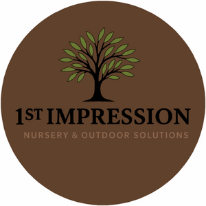 1st Impression