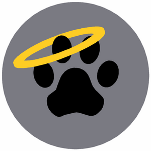 Dog Haven Dog Paw