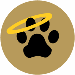 Dog Haven Dog Paw