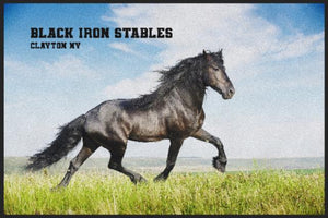 BLACK IRON STABLES   CLAYTON NY