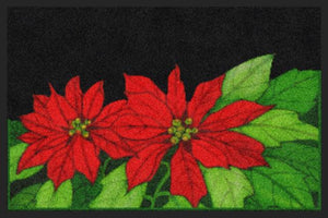 Christmas Holiday Poinsettia