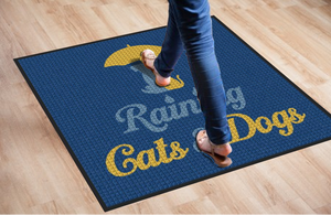 Raining Cats and Dogs