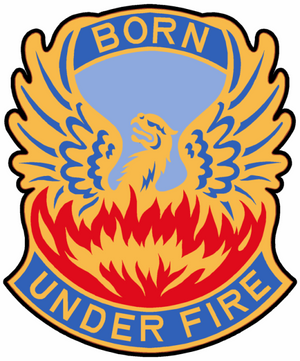 Born Under Fire RP