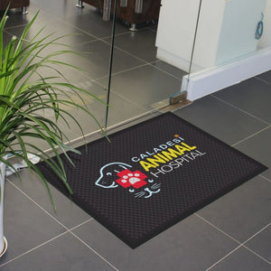 Caladesi Animal Hospital