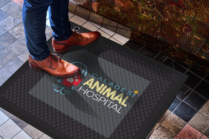 Caladesi Animal Hospital Version 3