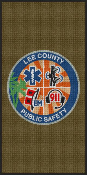 Public Safety