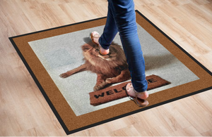 Outside Lion Mat