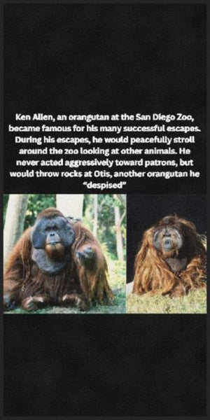 Kenneth Allen