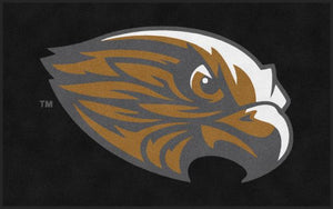 Foster Falcons