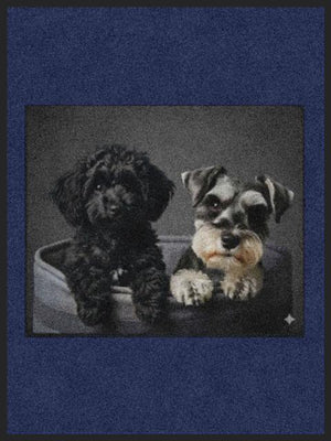 DOGS