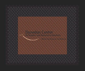 Djawdan Center