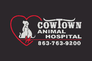 CowTown