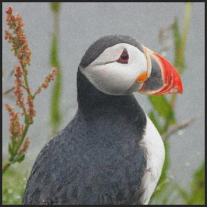 AQUA CAPTURE POINT PUFFIN