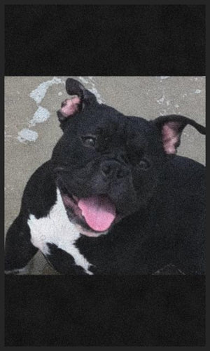OREO
