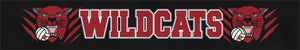 Calallen Volleyball Booster Club