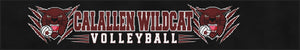 Calallen Wildcat Volleyball