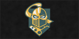 Clarkson University
