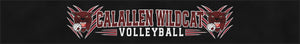 Calallen Volleyball Booster Club