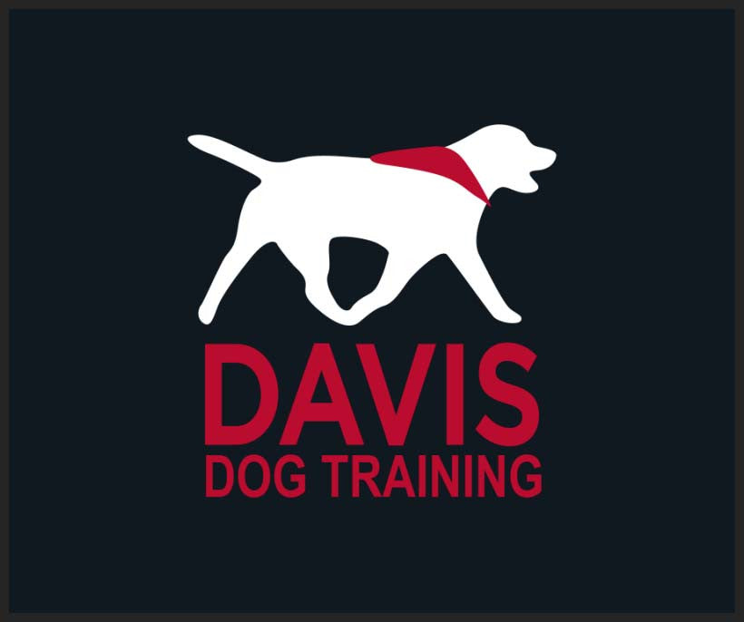 Davis Dog Training 2.5 x 3 Rubber Scraper - The Personalized Doormats Company