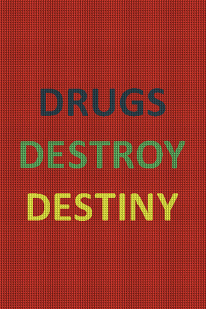 DRUGS DESTROY DESTINY 2 x 3 Waterhog Inlay - The Personalized Doormats Company