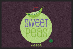 Bay State Gymnastics Academy