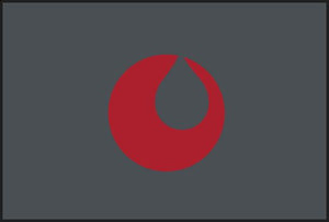 Interventional Pain Institute