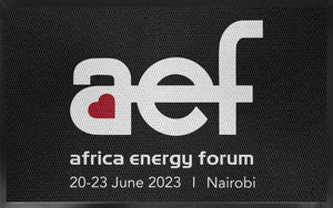 Africa Energy Forum §