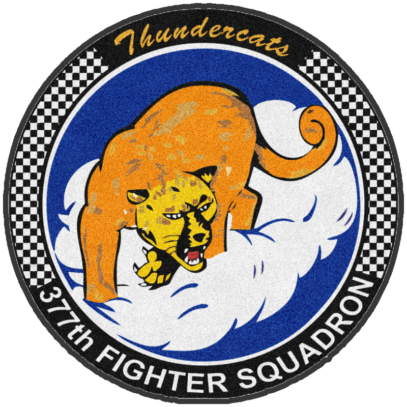 377TH FIGHTER SQUADRON (Version 6) §