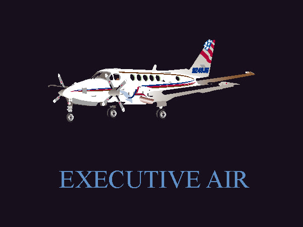 Executive Air - King Air 3 X 4 Rubber Scraper - The Personalized Doormats Company