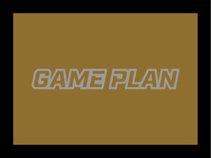 Gameplan2 18"X24" Bronze Silver