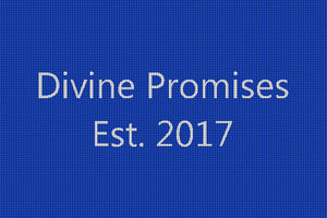 Divine Promises 2 X 3 Waterhog Impressions - The Personalized Doormats Company