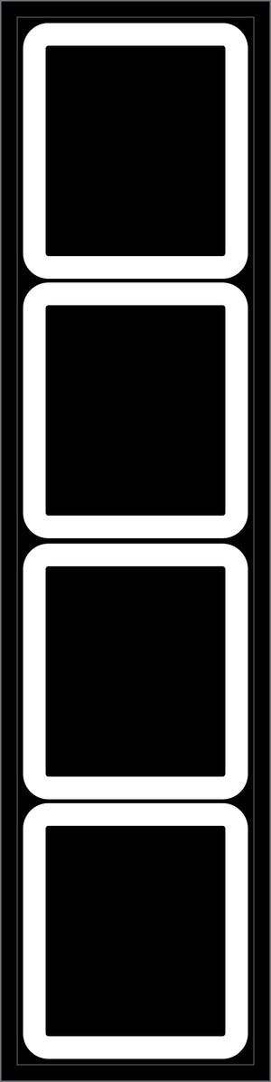 Brain Balance Agility ladder