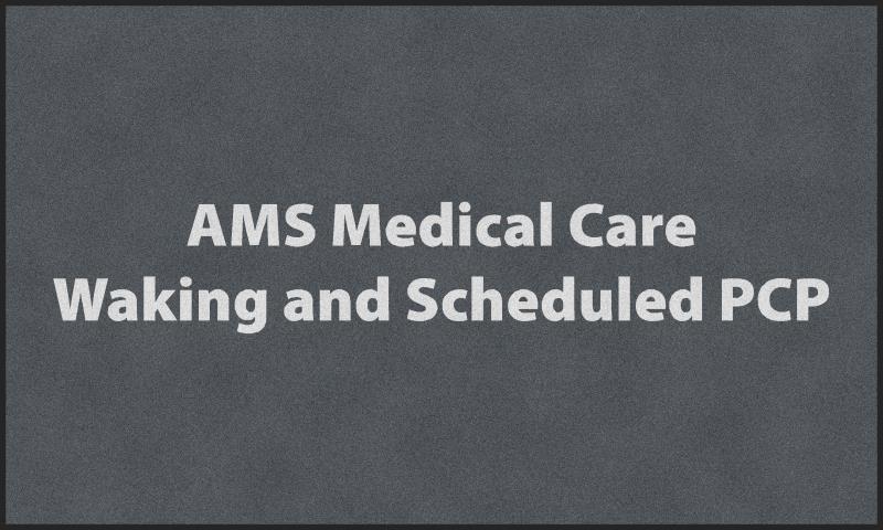 AMS medical care §