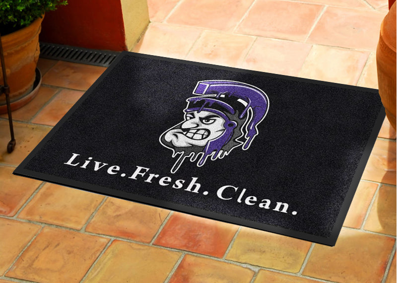 Romans Steam Cleaning