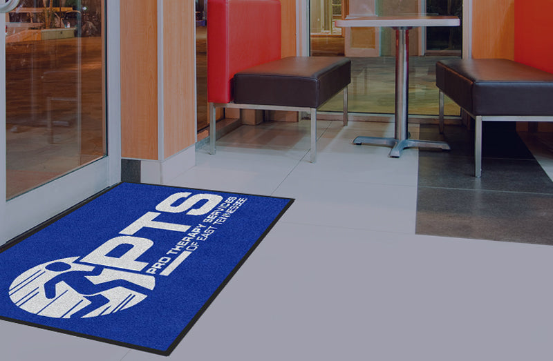 Pro Therapy Services N10 Logo