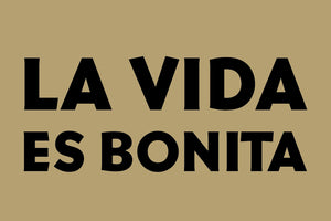 LA VIDA ES BONITA §