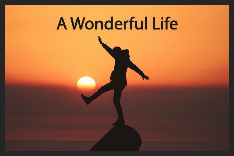 A Wonderful Life §