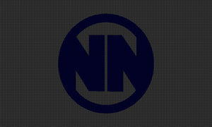 NN INC