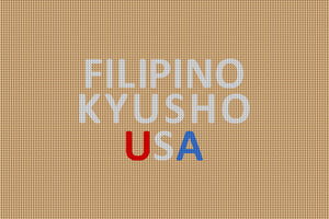 Filipino Kyusho USA 2 x 3 Waterhog Inlay - The Personalized Doormats Company