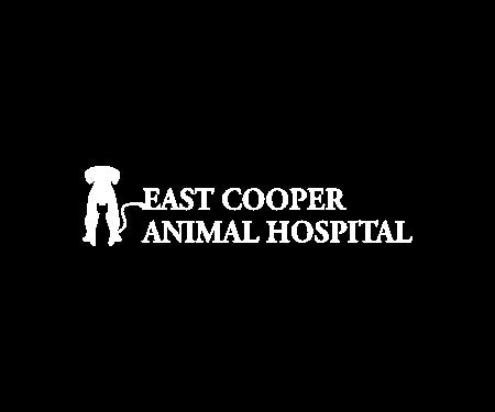 East Cooper Animal Hospital 2.5 X 3 Rubber Scraper - The Personalized Doormats Company