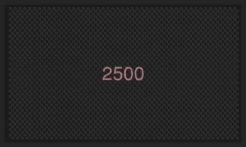 2500 Steiner §