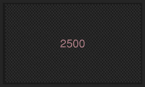 2500 Steiner §