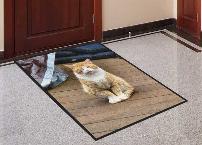 THIS IS MY PORCH NOW