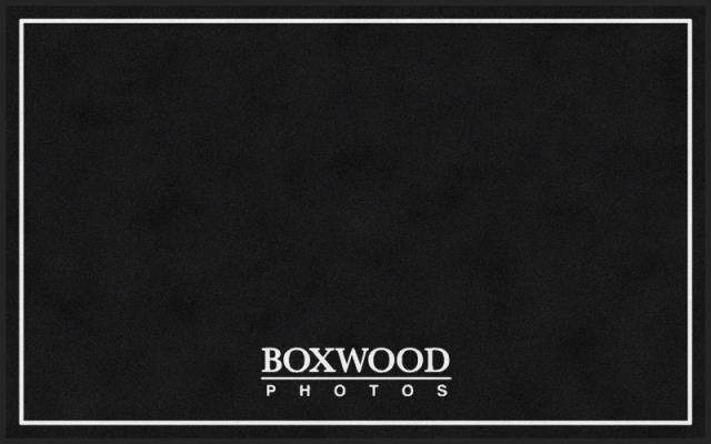 Boxwood Photos §