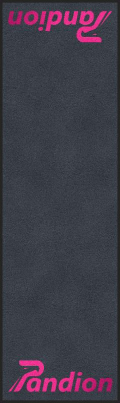 Pandion