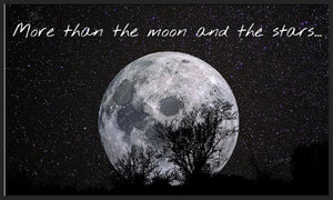 The Moon §