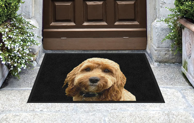 Thaddeus face picture