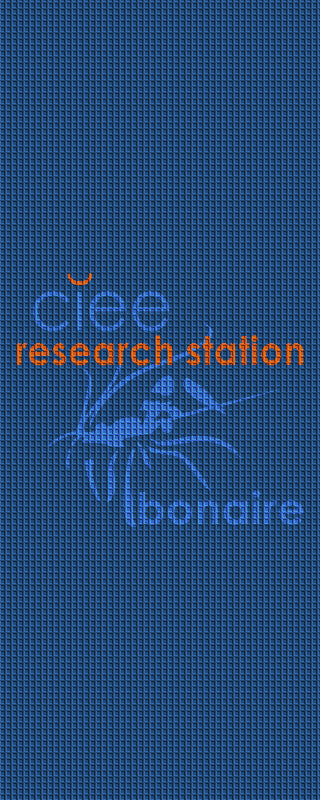 CIEE Research Station Bonaire 4 x 10 Waterhog Inlay - The Personalized Doormats Company